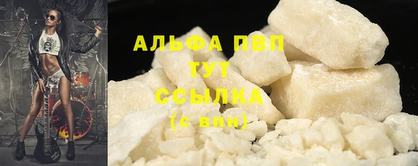 стаф Белокуриха