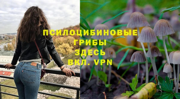 стаф Белокуриха