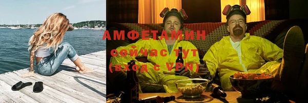 стаф Белокуриха